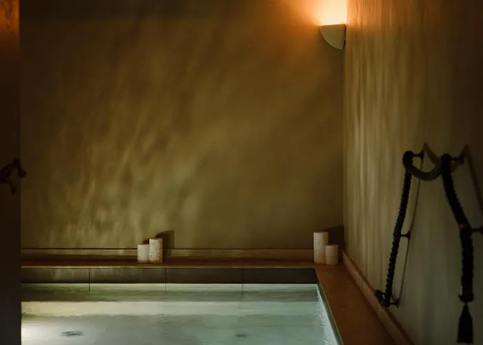 Hotel Balzac Paris & Spa Ikoi